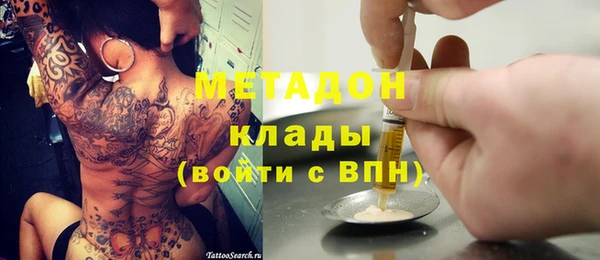 гашик Алексин