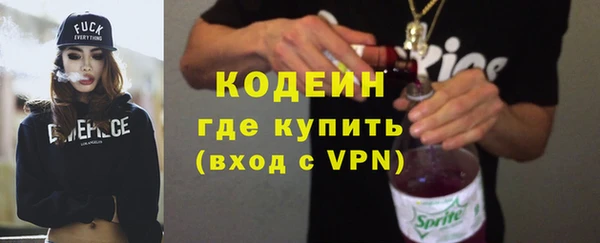 гашик Алексин