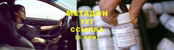 гашик Алексин