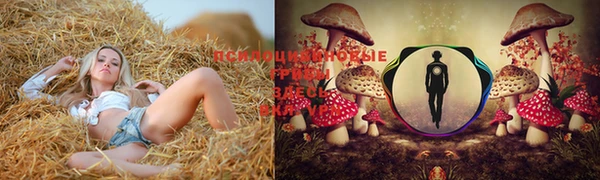 кристаллы Алзамай