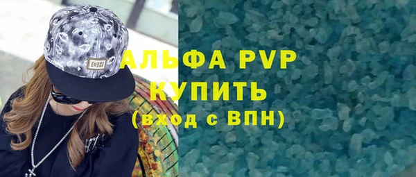 гашик Алексин