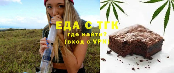 гашик Алексин