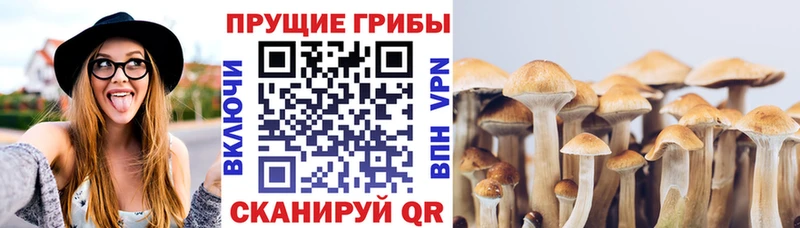 Галлюциногенные грибы Magic Shrooms  Игра 